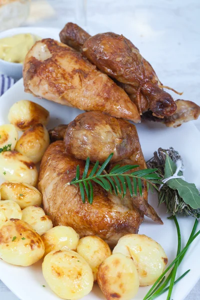 Pollo y patatas — Foto de Stock