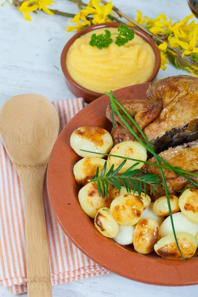 Pollo y patatas — Foto de Stock