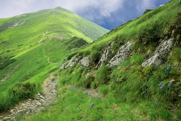 Prachtig landschap — Stockfoto