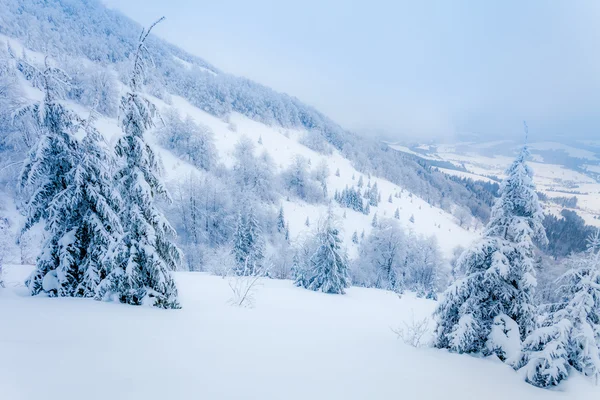 Winter landschap — Stockfoto