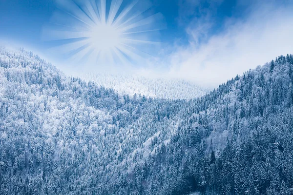 Winter scenery — Zdjęcie stockowe