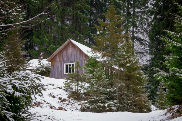 stock image House in winter forest