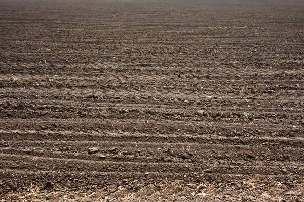 stock image Fresh soil