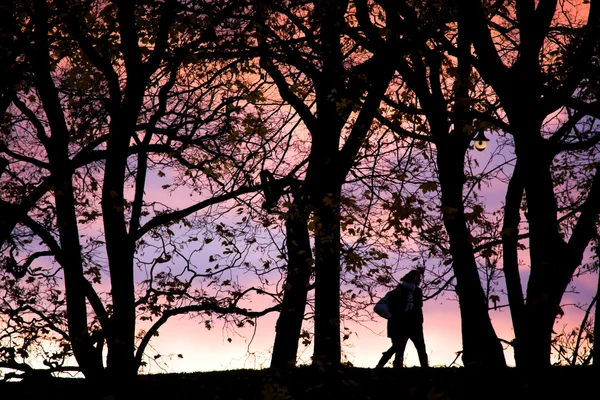 stock image Landscape outdoor