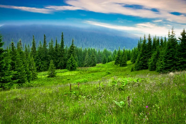 Prachtig berglandschap — Stockfoto