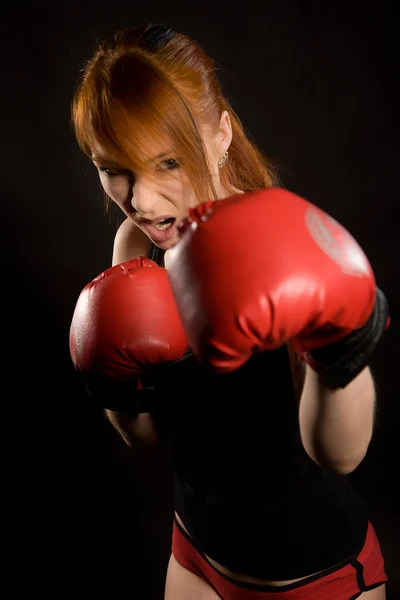 Boxer opleiding — Stockfoto
