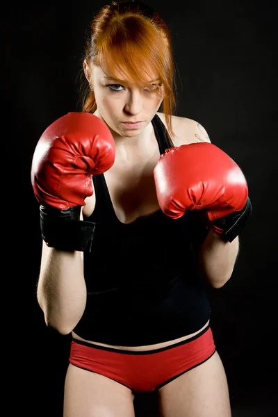 Boxer sulla formazione — Foto Stock