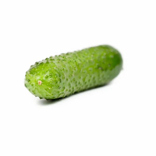 stock image One cucumber