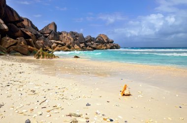 Granit kayalık sahil şeridi seychelles Adaları