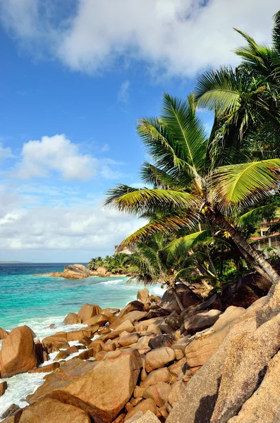 Garis pantai tropis di pulau Seychelles — Stok Foto