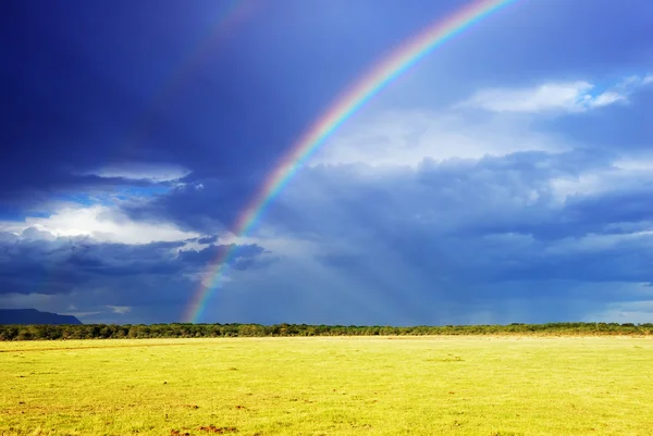 Arco-íris sobre campo — Fotografia de Stock