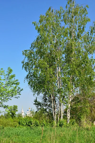 Russian landscape — Stock Photo, Image