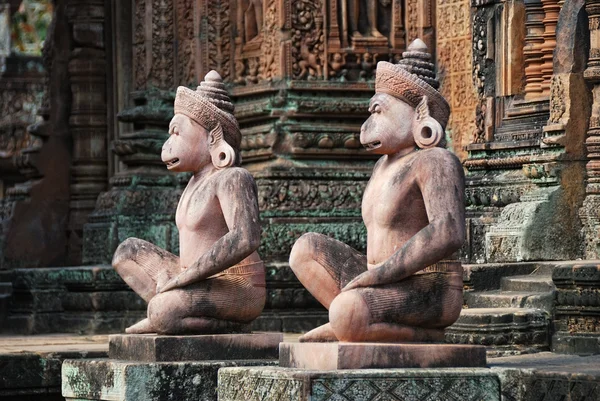 stock image Temple in the jungle