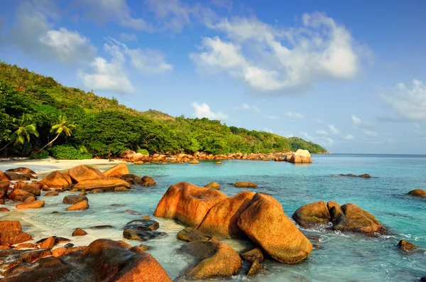 stock image Tropical beach