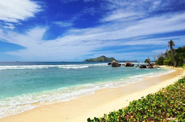 Tropiska stranden — Stockfoto