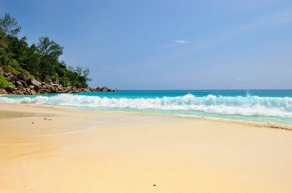 Tropical beach på Seychellerna — Stockfoto