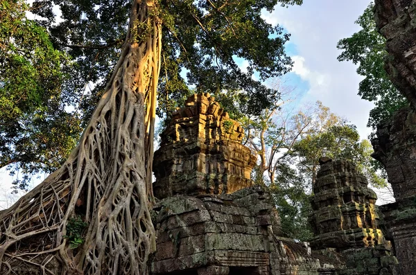 Templo na selva — Fotografia de Stock
