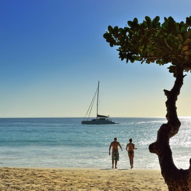 Tropical beach on Seychelles island clipart