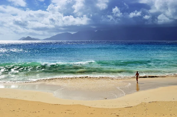Тропічний пляж на острові Сейшельські острови — стокове фото