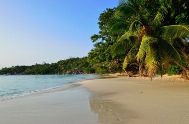 Seyşeller Adası tropik sahil şeridi