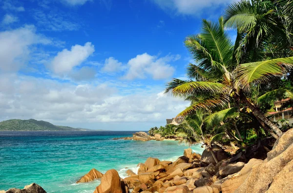 Tropisk kystlinje på Seychellernes ø - Stock-foto