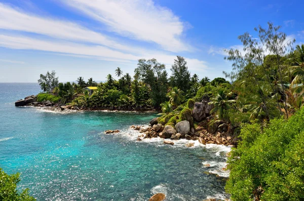Seychelles-szigetek — Stock Fotó