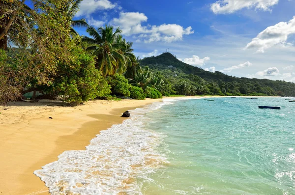 Costa tropical en la isla de Seychelles — Foto de Stock