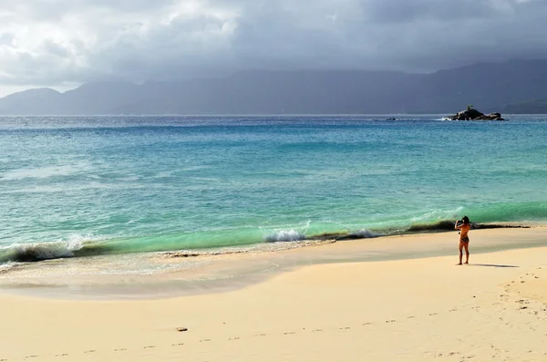 Playa tropical en la isla de Seychelles —  Fotos de Stock