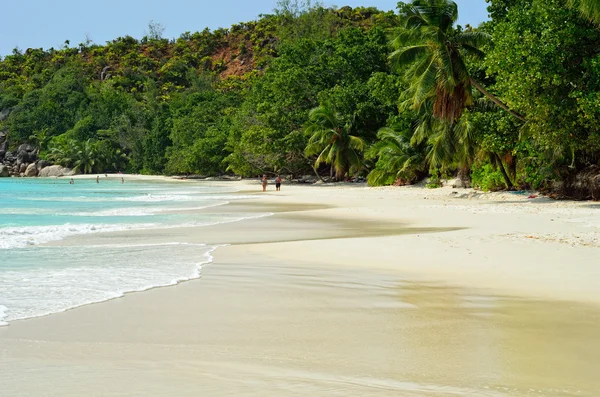 Plage tropicale sur l'île des Seychelles — Photo