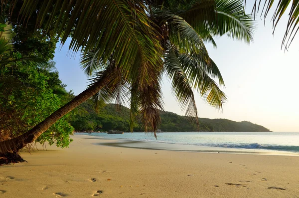 Playa tropical al atardecer — Foto de Stock
