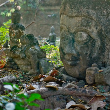 Buda'nın başkanı