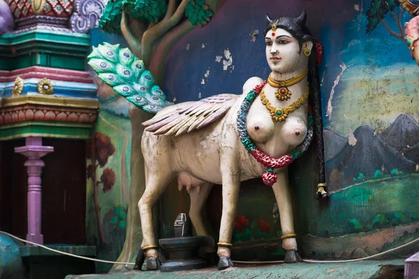 Hindu sacred cow — Stock Photo, Image