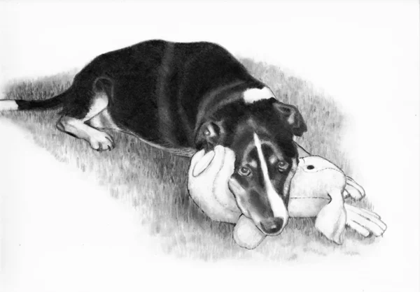 Карандашный рисунок собаки с мягким кроликом — стоковое фото