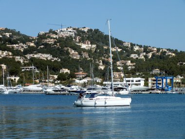 Mallorca Adası - İspanya 'daki Balear Adaları