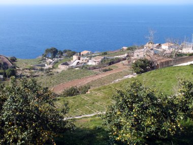 Mallorca Adası - İspanya 'daki Balear Adaları