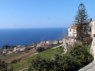 Mallorca Adası - İspanya 'daki Balear Adaları