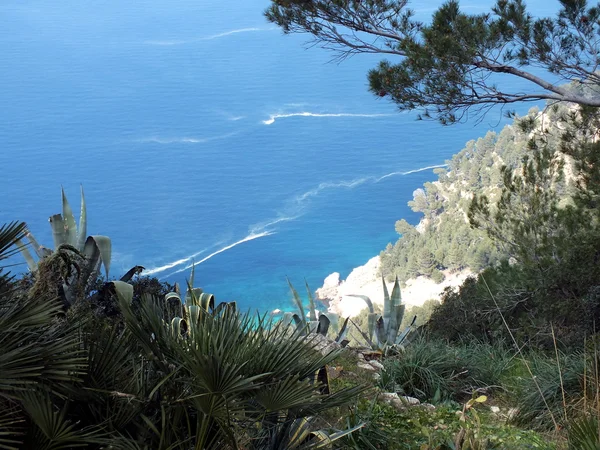 Mallorca Adası - İspanya 'daki Balear Adaları — Stok fotoğraf