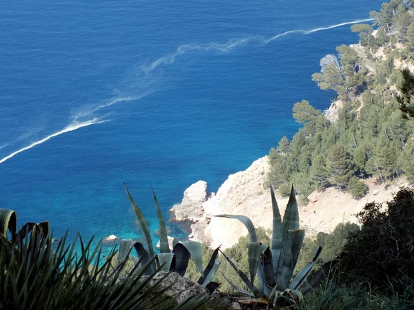 Острів Мальорка - Балеарські острови в Іспанії — стокове фото