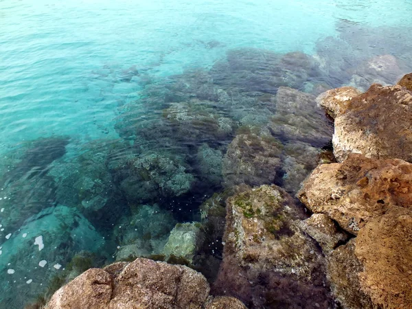 マヨルカ島-スペインのバレアレス諸島 — ストック写真
