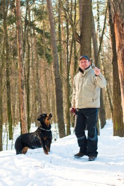 köpek doğurmak bir rottweiler ile sahip kış bir yürüyüş üzerinde