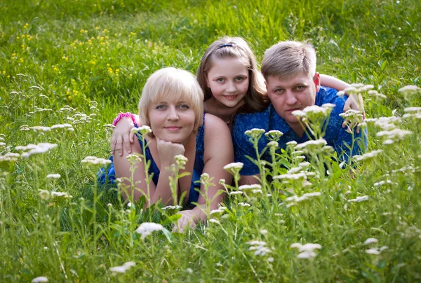 Szczęśliwą rodzinę o charakterze na zielonej trawie — Zdjęcie stockowe
