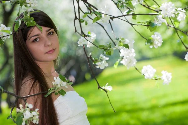 stock image The long-haired girl against blossoming apple-trees.