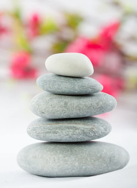 stock image Spa stones with flower