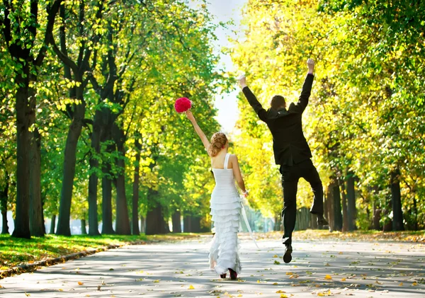 Casal recém-casado um atrás no parque — Fotografia de Stock