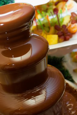 Fruit, berries prepared for ìàêàíèÿ in a chocolate fountain