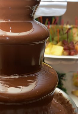 Fruit, berries prepared for ìàêàíèÿ in a chocolate fountain