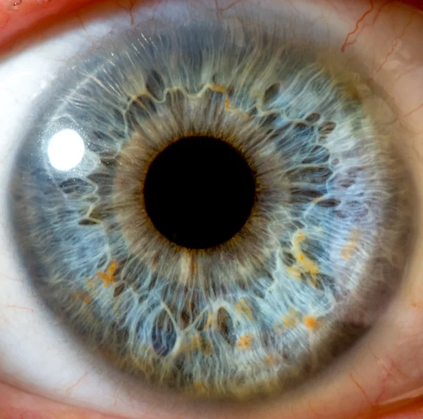 Eye macro. — Stock Photo, Image