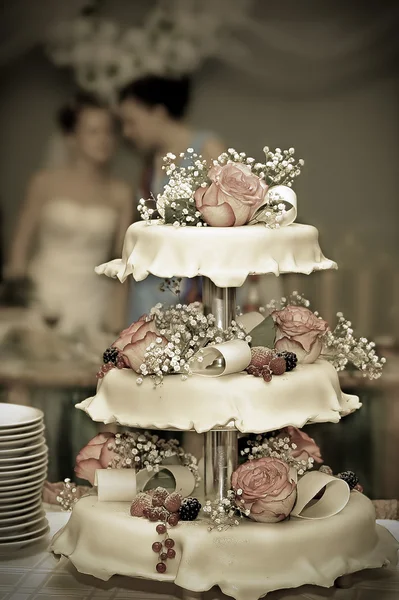 Свадебный пирог 7 — стоковое фото