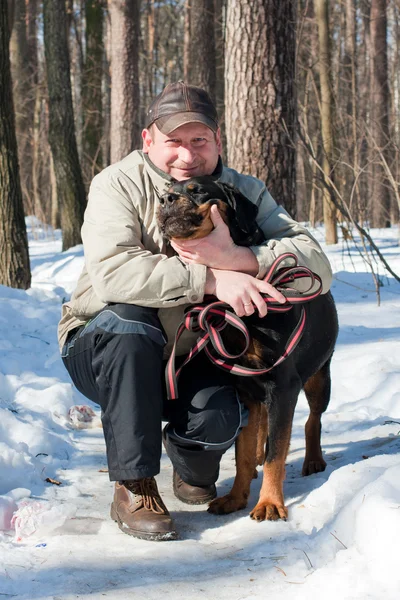 प्रजातीचा कुत्रा हिवाळ्यात मालकाबरोबर चालत Rottweiler — स्टॉक फोटो, इमेज