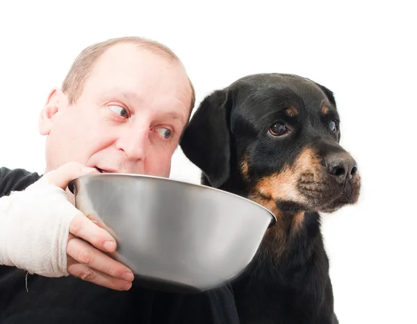 Πορτρέτο ενός καθαρόαιμα Rottweiler αρνείται γεύμα στο στούντιο. — Φωτογραφία Αρχείου